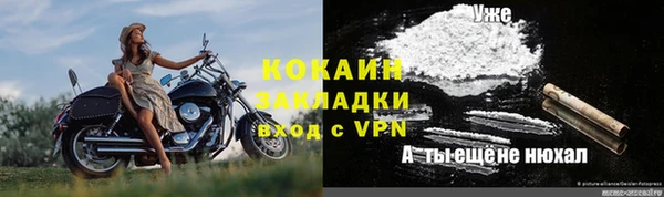 стафф Богородицк