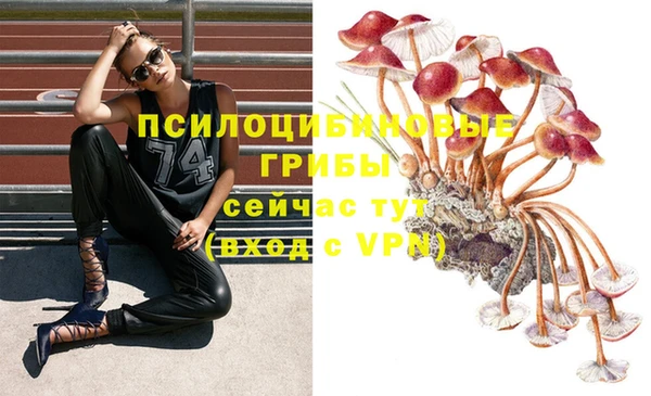 стафф Богородицк