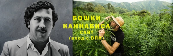 стафф Богородицк